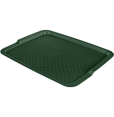 ПОДНОС (ЗЕЛЕНЫЙ) 425Х320 ММ